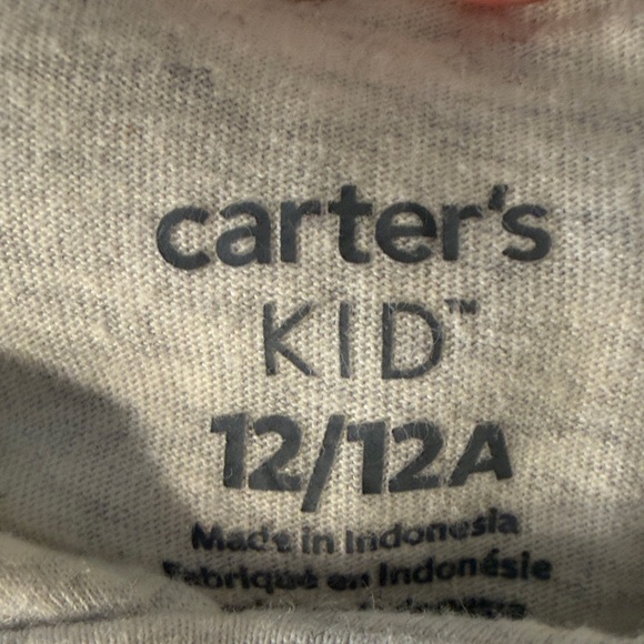 Carter's Gray Hoodie with Colorful Magic Print - Picture 3 of 3